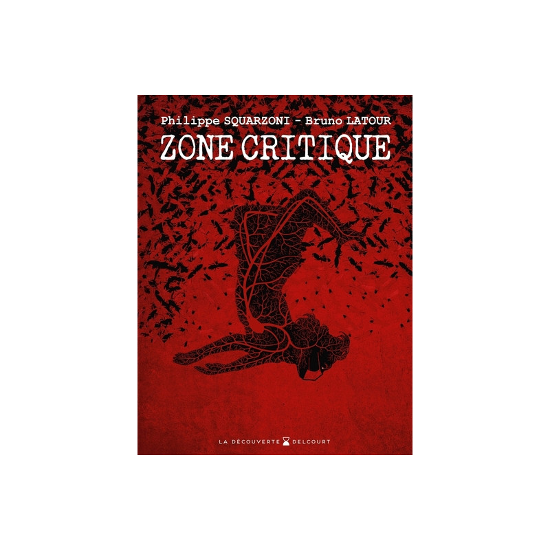 Zone critique