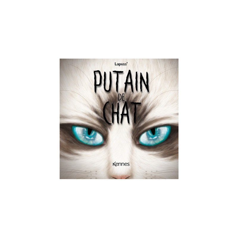Putain de chat T12