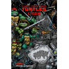 Les Tortues Ninja - TMNT Classics, T2 : Travail d'équipe