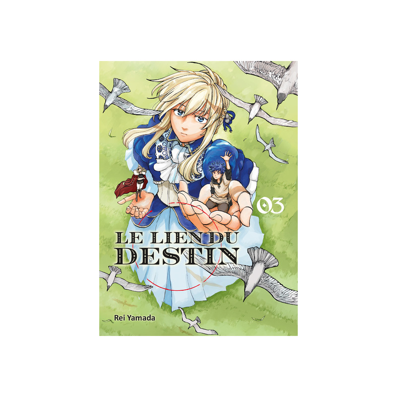 Le lien du destin T03 - FIN