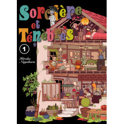 Sorcière et ténèbres T01