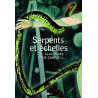 Serpents et échelles