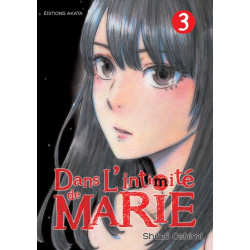 Dans l'intimité de Marie -...
