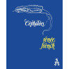 Céphalées