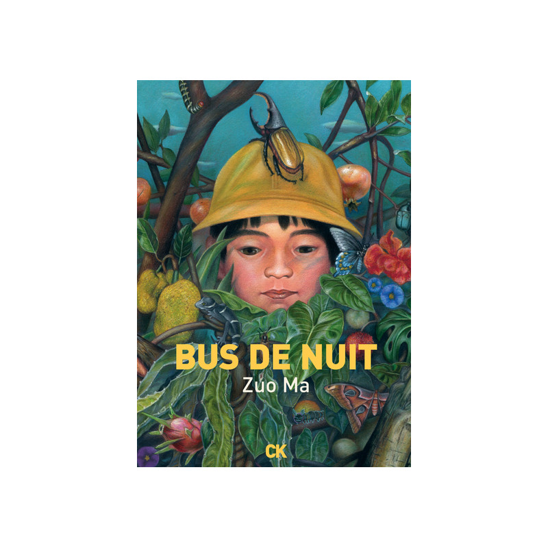 Bus de nuit