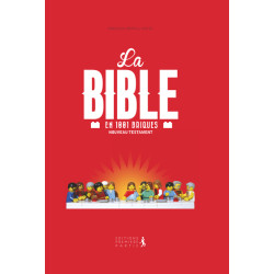 La Bible en 1001 briques...