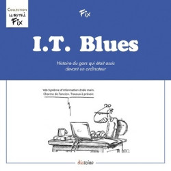 I.T. Blues - Histoire du...