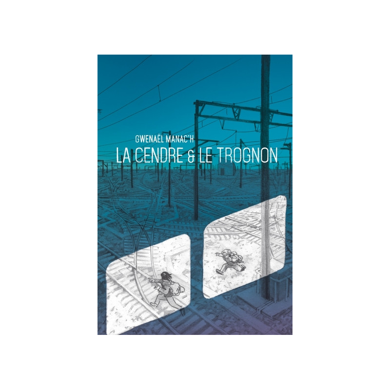 La cendre et le trognon