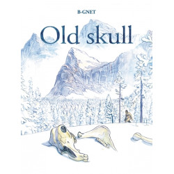 Old skull
