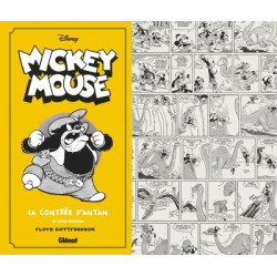 Mickey Mouse par Floyd...