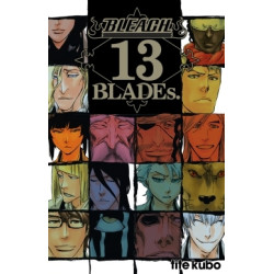 Bleach Data book - 13th Blades