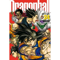Dragon Ball perfect edition...