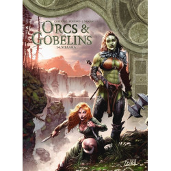 Orcs et Gobelins - tome 14...