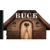 Buck - Le Chien perdu
