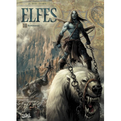 Elfes - tome 11 Kastennroc