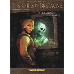 HISTOIRES DE BRETAGNE T08...