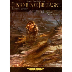 Histoires de Bretagne T06 -...