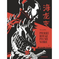 Pierre rouge plume noire -...