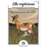 N°1 Lille mystérieuse - La naissance de Lille