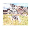 Le cheval drac de Molompize