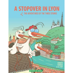 A stopover in Lyon