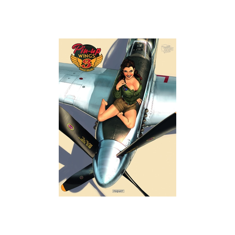 Pin-Up Wings T3