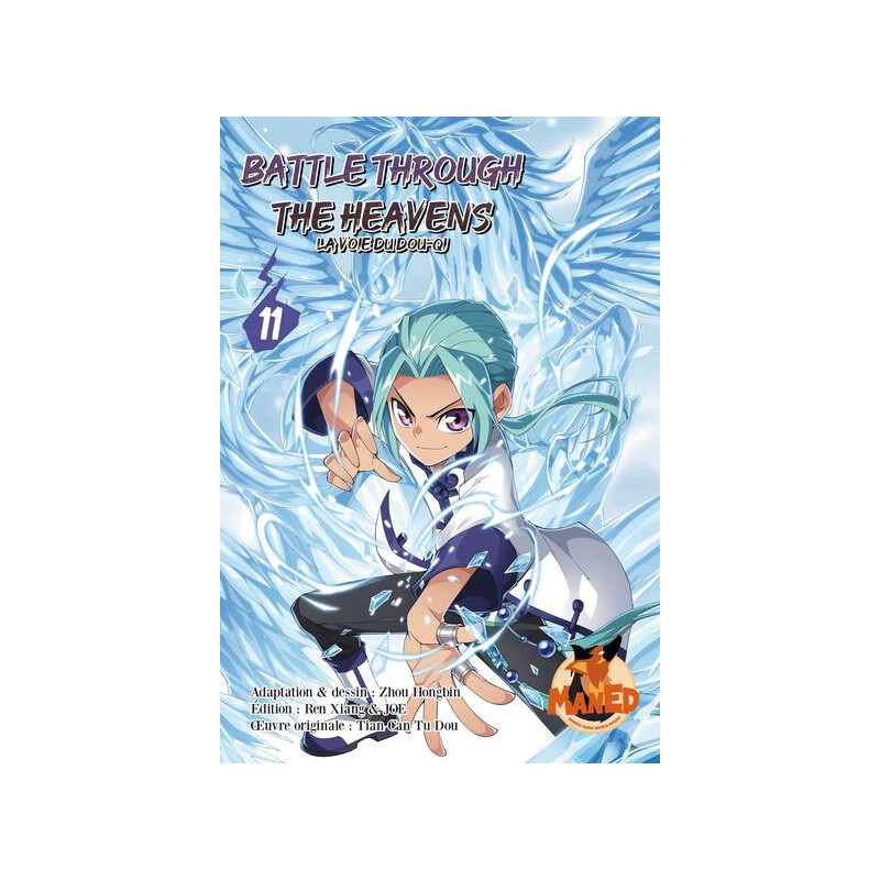 Battle Through The Heavens - Tome 11