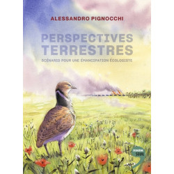 Perspectives terrestres