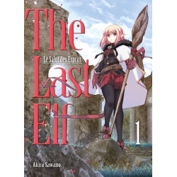 The Last Elf, le salut des...