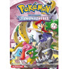 Pokémon Diamant Perle / Platine - tome 4