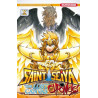 Saint Seiya - The Lost Canvas - Chronicles - tome 10