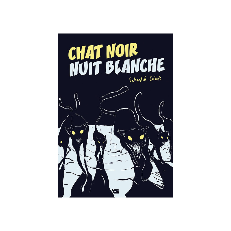 Chat noir Nuit blanche