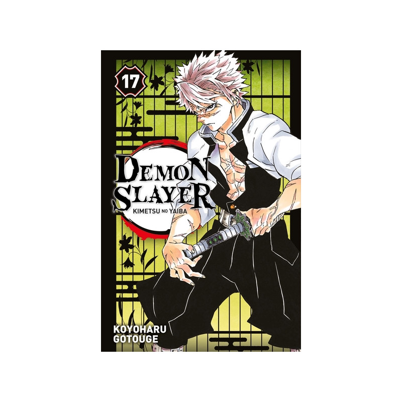 Demon Slayer T17