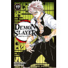 Demon Slayer T17
