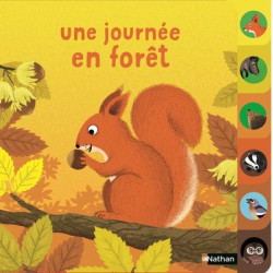 Une journée en forêt