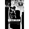 Batman Beyond the White Knight