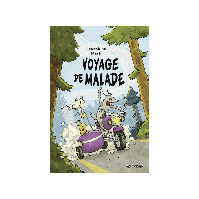 Voyage de malade
