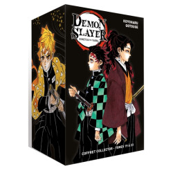 Coffret Demon Slayer T19 à T23