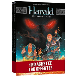 Harald et le trésor d'Ignir...