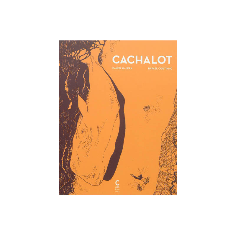 Cachalot
