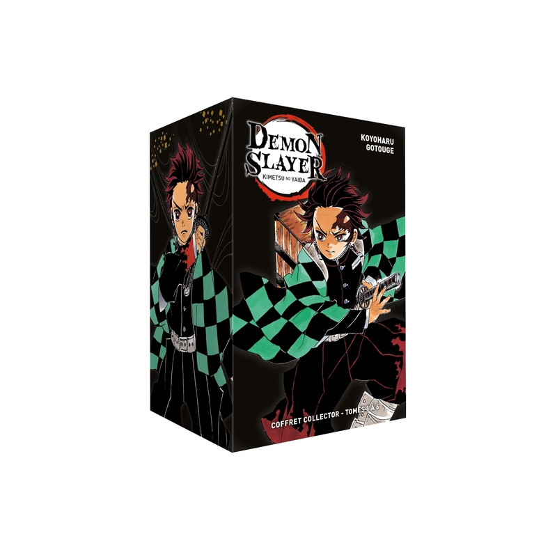 Coffret Demon Slayer T01 à T06