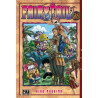 Fairy Tail T28