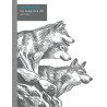 Le loup m’a dit – Histoire complète