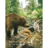 Le fils de l'ours