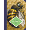 La petite Bédéthèque des Savoirs - Tome 20 - Les Abeilles. Les connaître pour mieux les protéger.