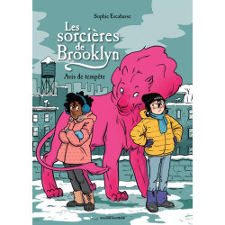 Les sorcières de Brooklyn,...