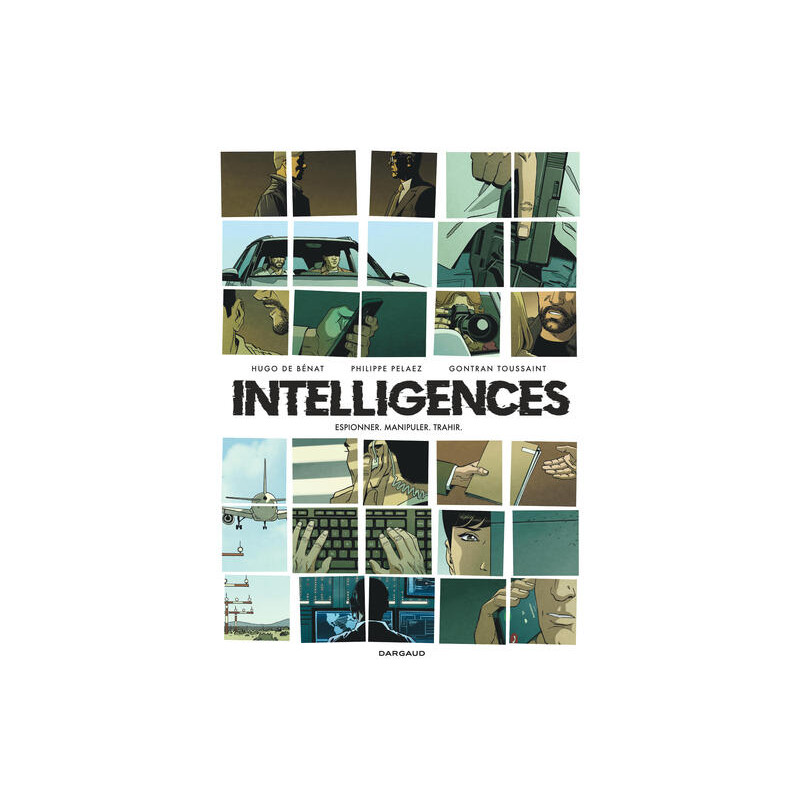 Intelligences