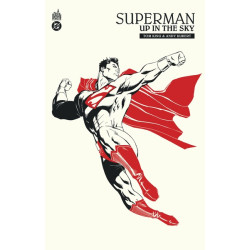 Superman : Up In The Sky