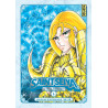 Saint Seiya Final Edition - Tome 6