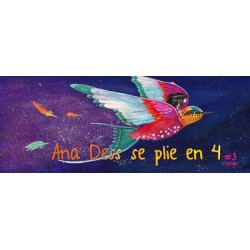 Ana Dess se plie en 4 - Tome 3